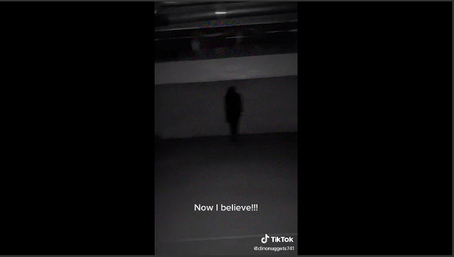 Dinnonuggets741-tiktok-video-Episode-20210306-captures a shadow figure lurking in his basement