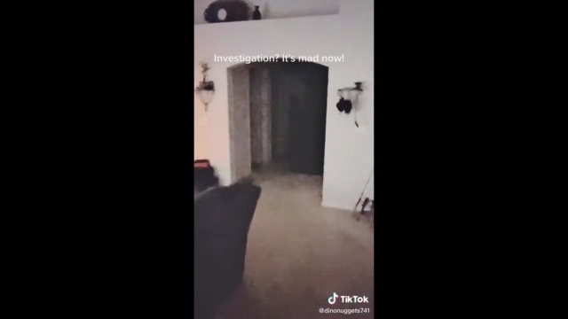 dinonuggets741-Episode 20210704-Investigation and Is It Mad Now-Shadowy apparition figure is seen walking across the hallway into the basement door