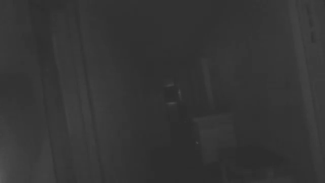 IR_Camera-Felt vibrations on the camera while holding on my hand