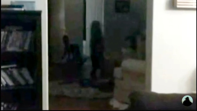 A mother calls her daughter and the daughter comes out of another room a shadowy apparition appears walking across the room