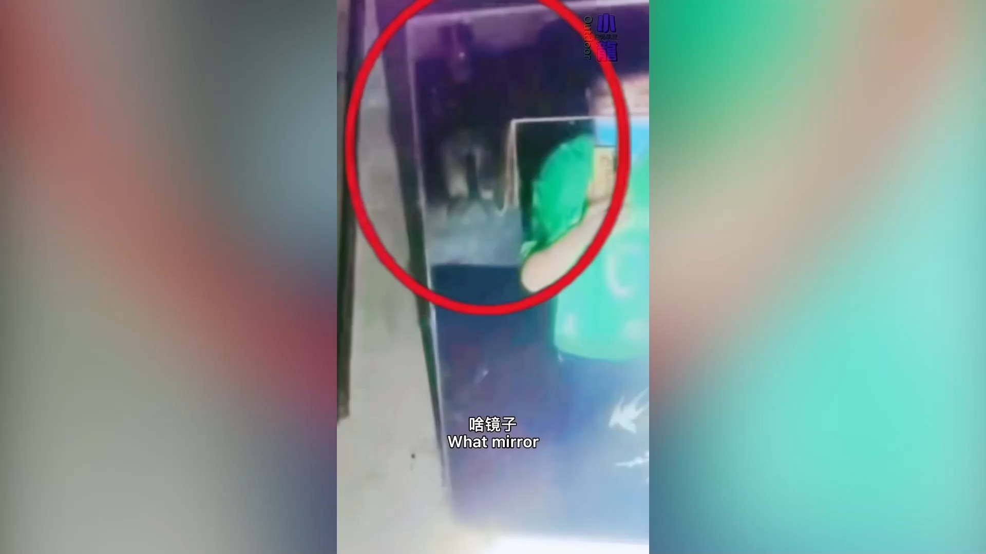 The 3X-Featuring YouTube Outdoor Xiaolong-Full body apparition seen sitting on the couch on the mirror