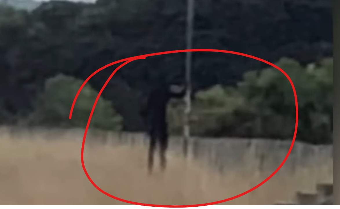 Top 5 Scary Videos You WON'T Watch FULL SCREEN!