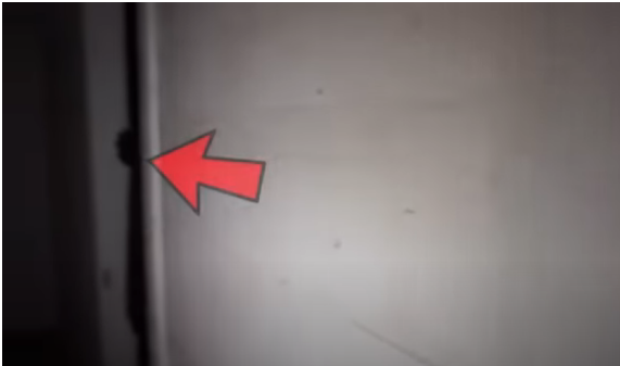 Shadow figure caught on camera while it's peeking out the doorway.