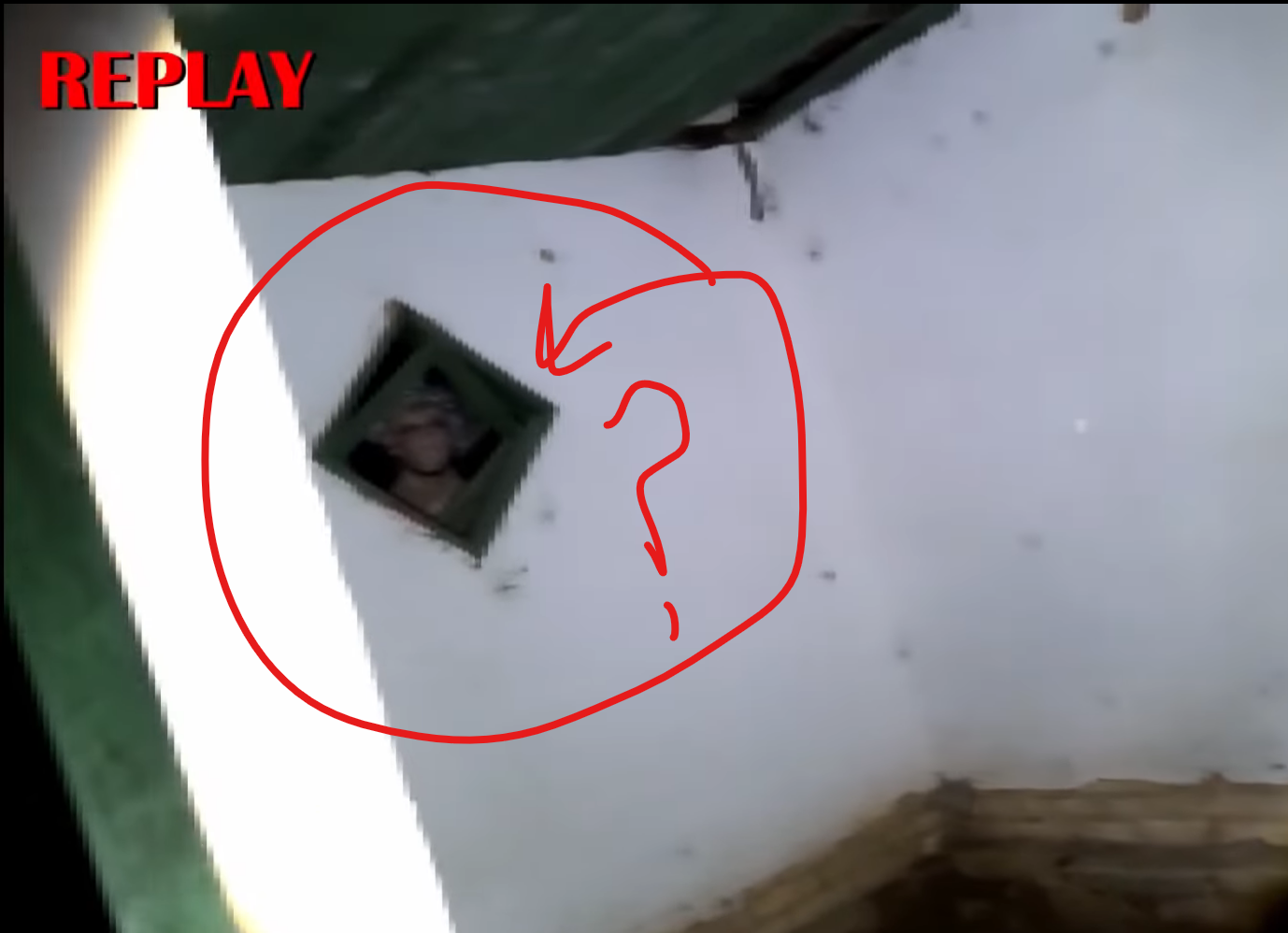 Appears to be a head during an investigation session, is this real or not?