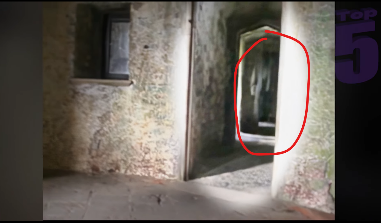 When recording video during a tour, the person recording capture a shadowy figure in the hallway. It is a hoax?