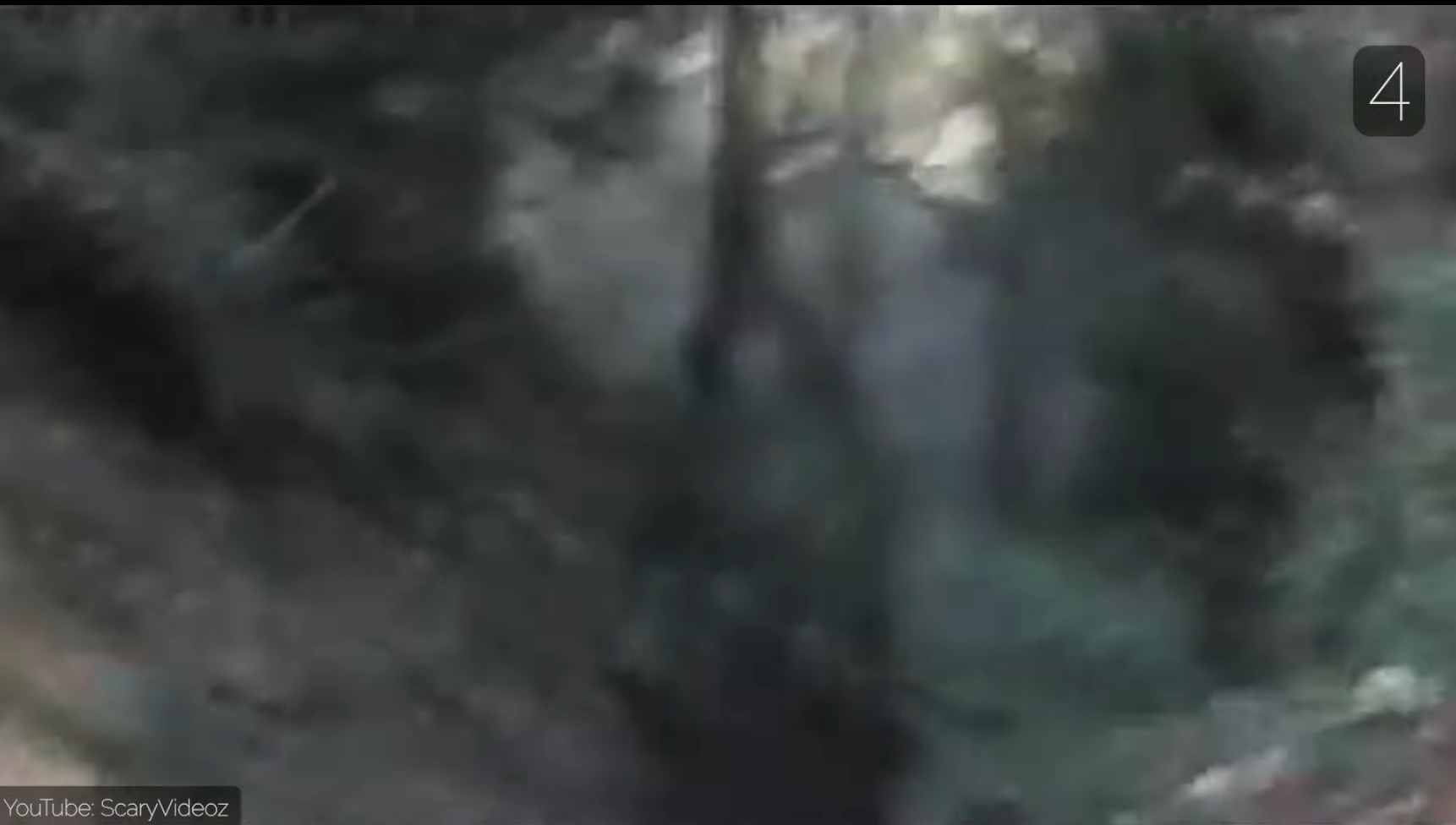 Nothing much is known from the footage, but it appears that the person was filming the video captured what appears to be an apparition of a witch.