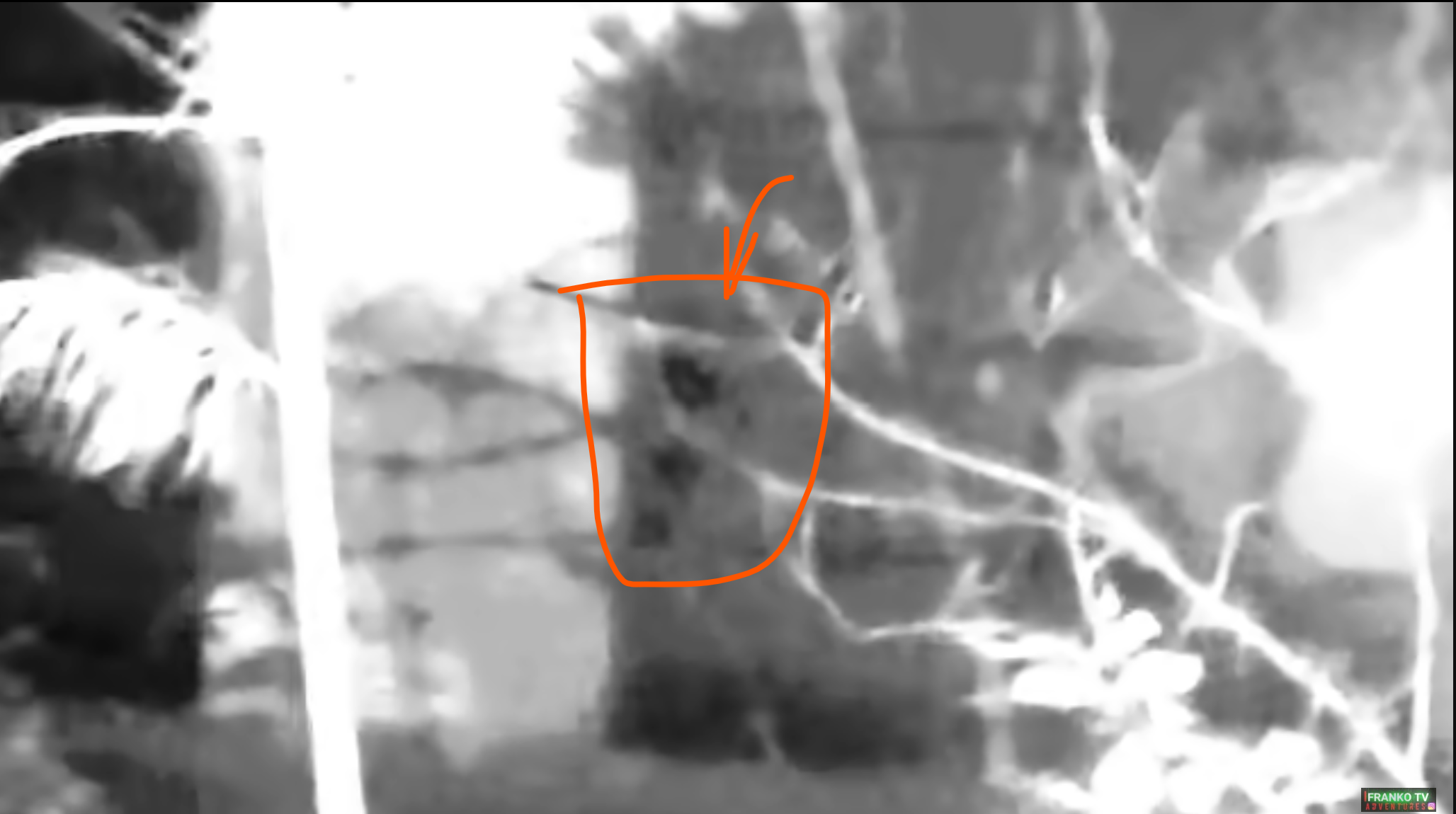 Did Franko TV catch a shadowy figure peaking out the window?