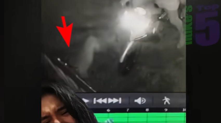 The lady's dog had passed away, and she was reviewing CCTV recording of her gate entrance when she discovers what appears to be an apparition of a dog?