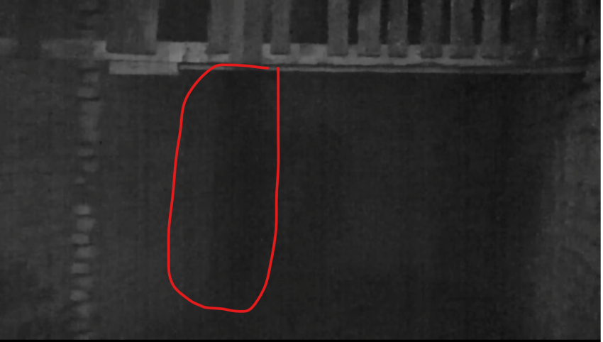 Did El Franko caught a shadowy figure while exploring the cemetery?