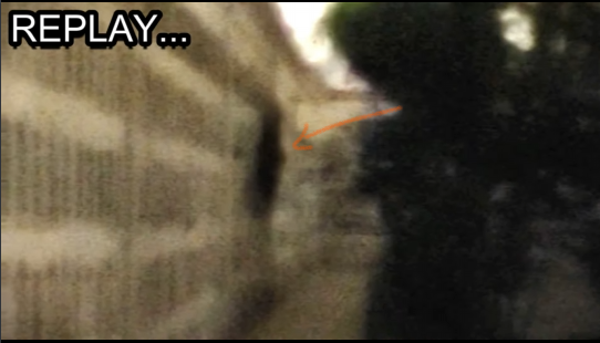 Frank captures what appears to be a flying shadowy figure.